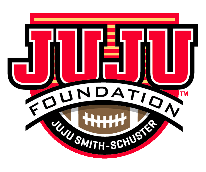 Juju Foundation