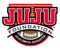 JuJu Foundation